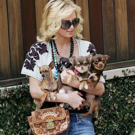 Paris Hilton lamenta la muerte de su perra chihuahua de 23 años